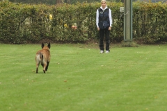 IMG_0223-e1510083205752